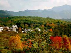 -塔川景区