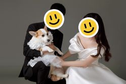 点击看大图 -CD视觉婚纱摄影