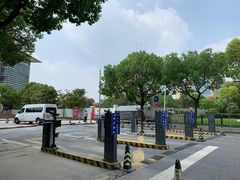 -上海中医药大学附属曙光医院(东部)