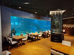 -海棠湾洲际-涛·海底餐厅·美人鱼·自助餐·海底隧道