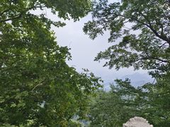 -灵顺寺