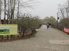 -北京麋鹿生态实验中心