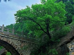 -四门塔风景区