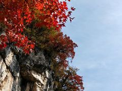 -少华山国家森林公园