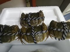 六月黄-小陆莲花蟹园农家乐(莲花岛店)