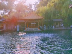 -趵突泉景区