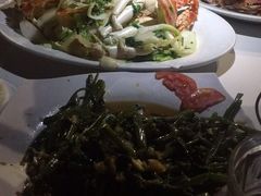 -越海渔村