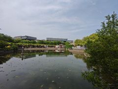 -嘉定紫藤园
