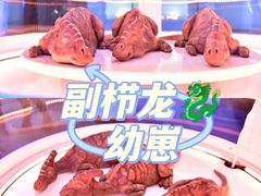 -侏罗纪世界电影特展(广州站)