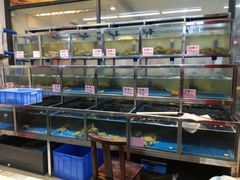 水产区-宏佳丰味蟹馆(洛溪店)