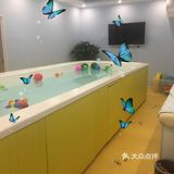 小鸭先知游泳