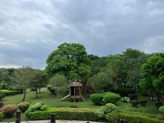 -大湾区中央湿地公园