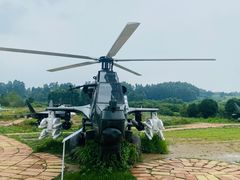 -空港花田景区