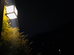 -神光山国家森林公园