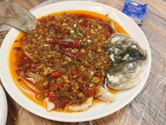 -羊子两室一厅