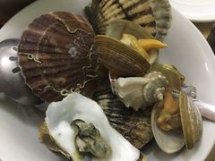 扇贝-春华海鲜城(广场西苑店)