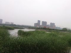 -灵山莲花公园-温泉度假区