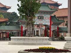 -广东圆玄道观