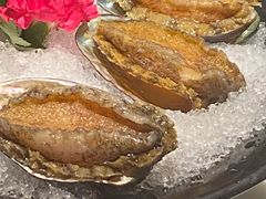 活冻鲍鱼-煲宫猪肚鸡(晶品店)