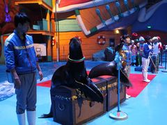 -烟台海昌鲸鲨海洋公园