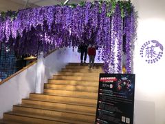 -Sony Store 索尼(上海淮海中路店)