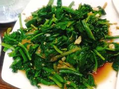 凉拌菠菜-聚发号清真菜馆