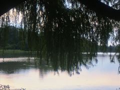 -南宁良凤江国家森林公园