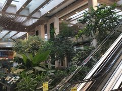 -仁恒美食庭苑(仁恒海河广场店)