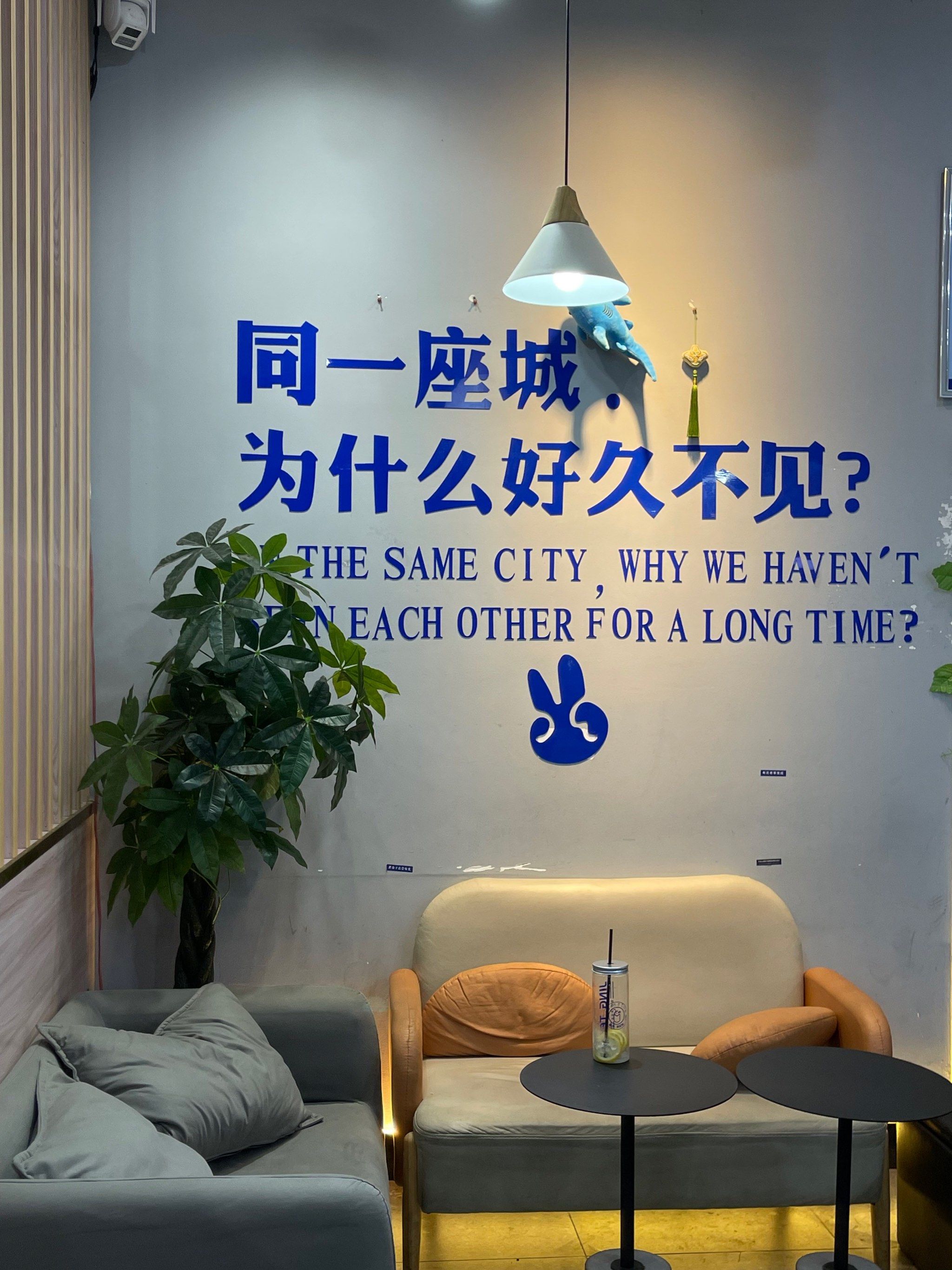 同一座城为什么好久不见呢?