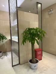 -银座Calla日式美容沙龙