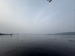 -杭州君悦酒店