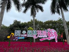 -广州市流溪河国家森林公园