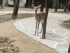 -南戴河国际娱乐中心