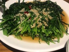 生煎茼蒿-禾珍珠家常小馆(河南博物院店)