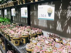 -鹿岛会员店 (龙湖三千集天街店)