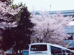 -上海南浦大桥长途旅游客运站