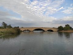 -西京湾花海