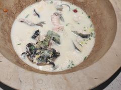 -老福耶小草帽石锅鱼(奥体店)