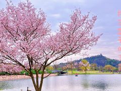 -上海辰山植物园
