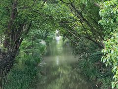 -上海长兴岛郊野公园