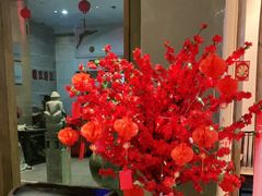 -御手国医·古法经络调理(光华店)
