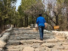 -阳台山自然风景区