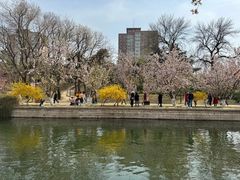 -元大都城垣遗址公园