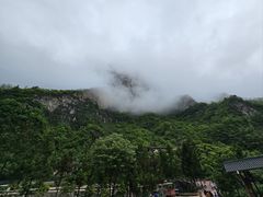 -鹿院坪生态旅游景区