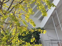 -天河体育中心