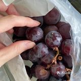 云南夏黑葡萄