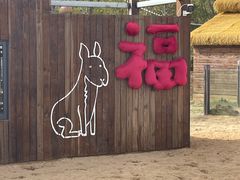 -茅山东方盐湖城景区