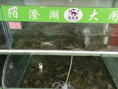 -阳澄湖大闸蟹·琼灵阁牌品牌连锁(吴中总店)
