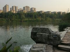 -东岳体育公园