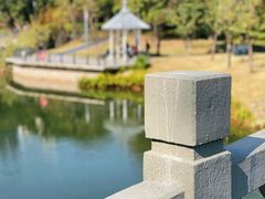 -四海公园(南山区)